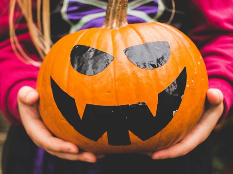 pumpkin